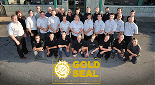 Team Member